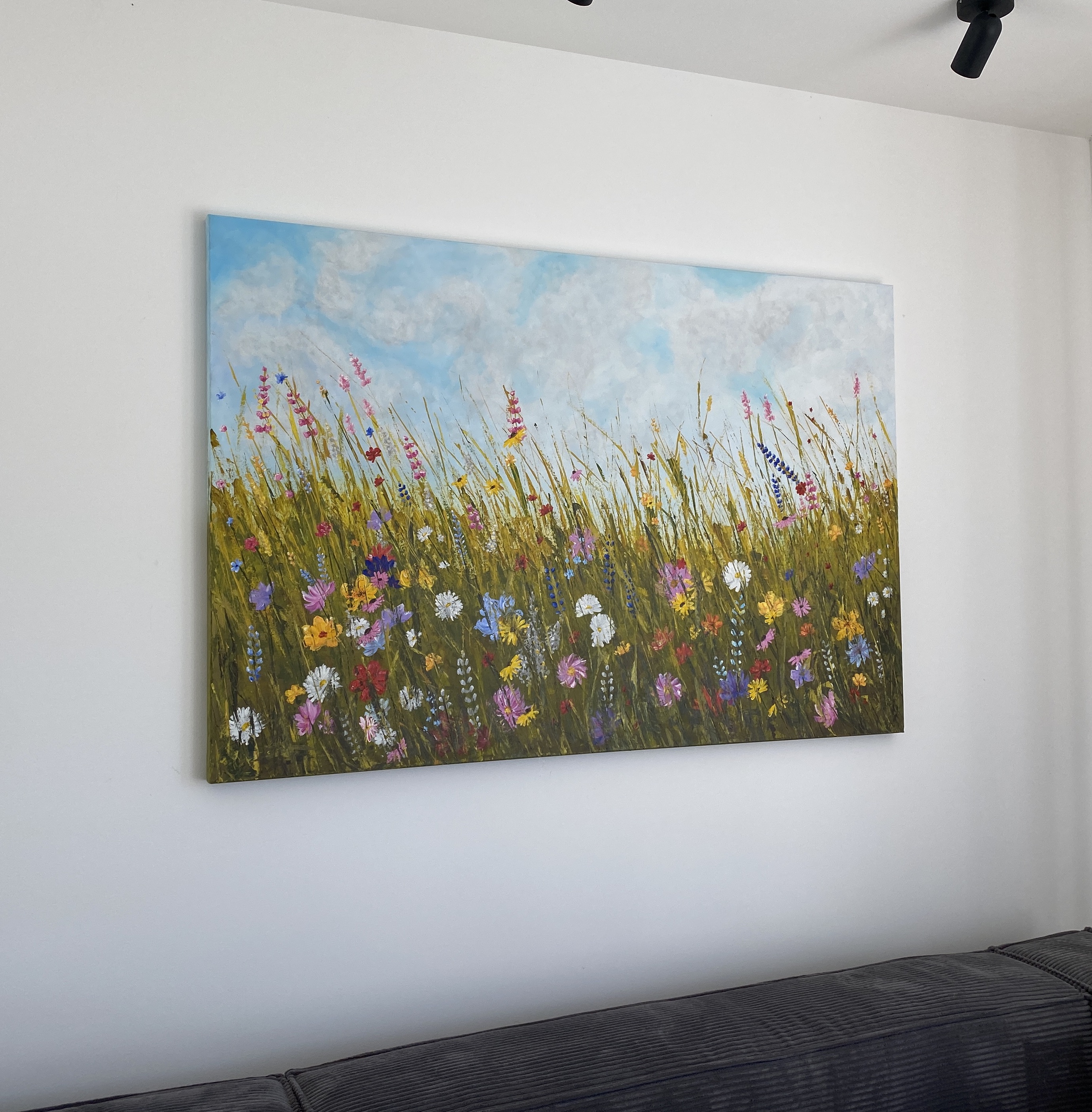 Colorful Meadows