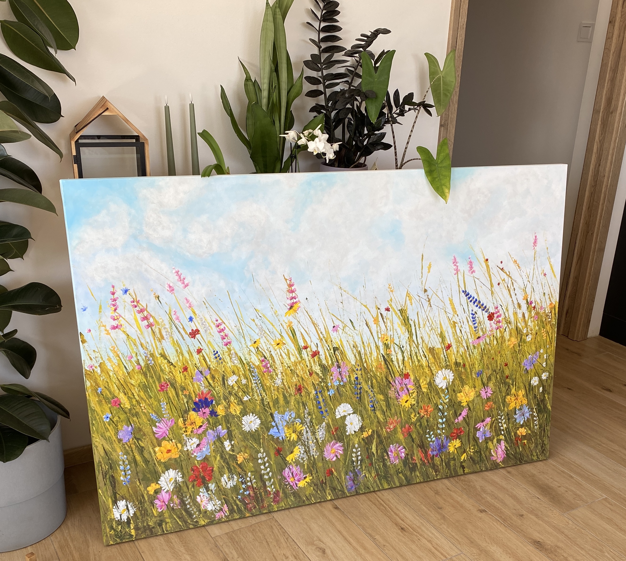 Colorful Meadows