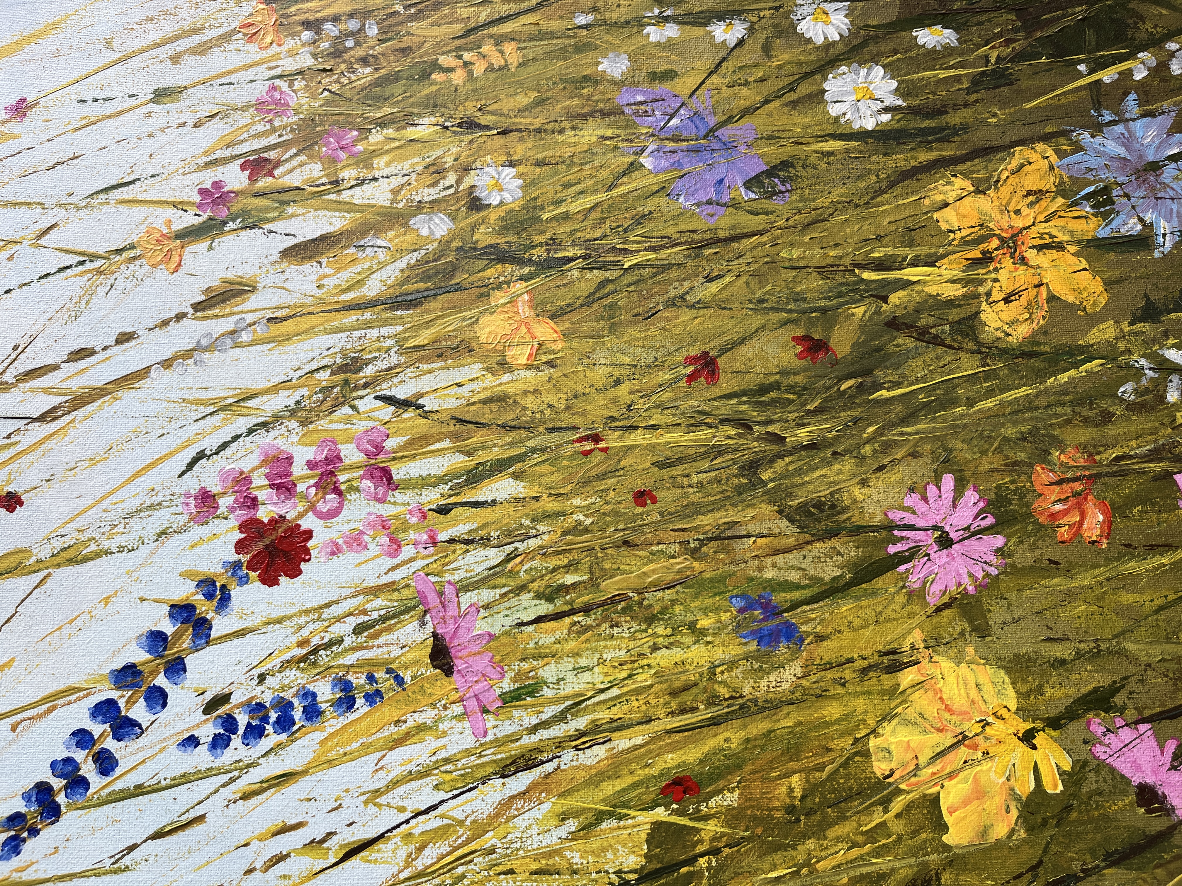 Colorful Meadows