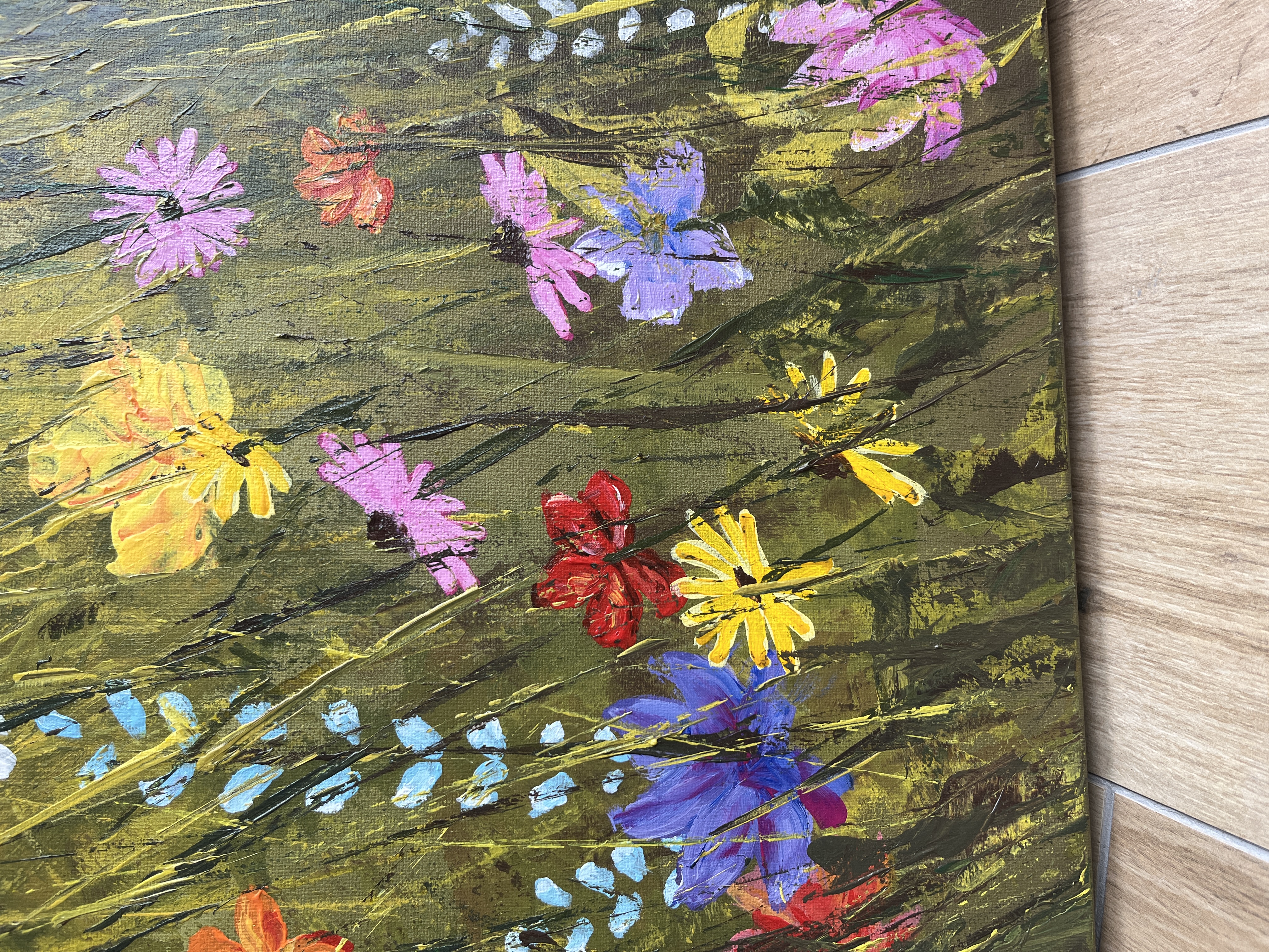 Colorful Meadows